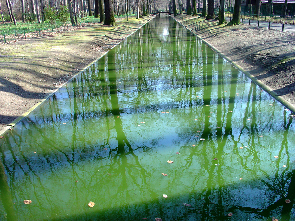 Photographie par parkermaniac pour DesignCrowd (Community Contests) | Design #9106901