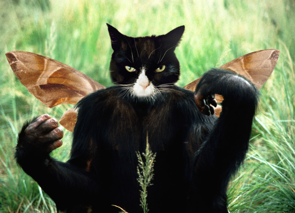 Photoshop Design by praxiz for DesignCrowd (Community Contests) | Design #9105746