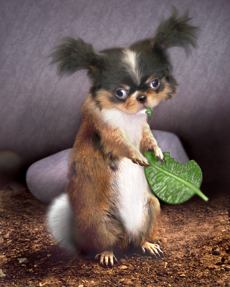 Design Photoshop par blueorb pour DesignCrowd (Community Contests) | Design #9105723