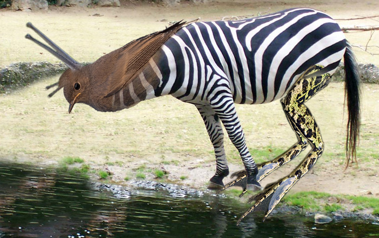 Photoshop Design by nikoniko for DesignCrowd (Community Contests) | Design #9105801