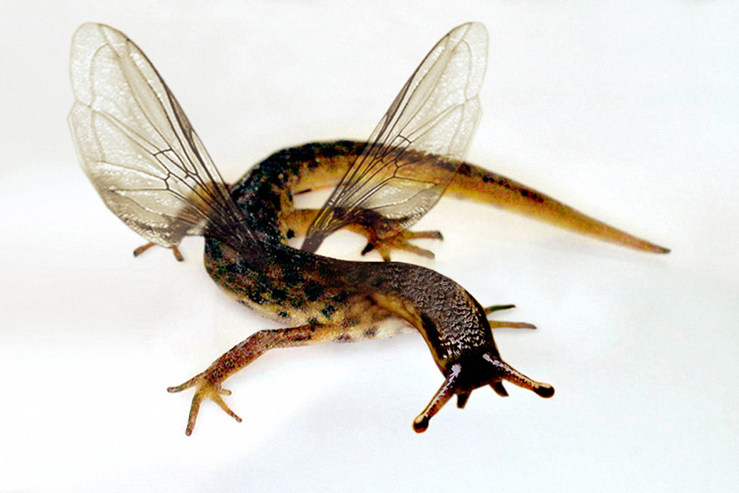 Photoshop Design by DestinationCreation for DesignCrowd (Community Contests) | Design #9105744