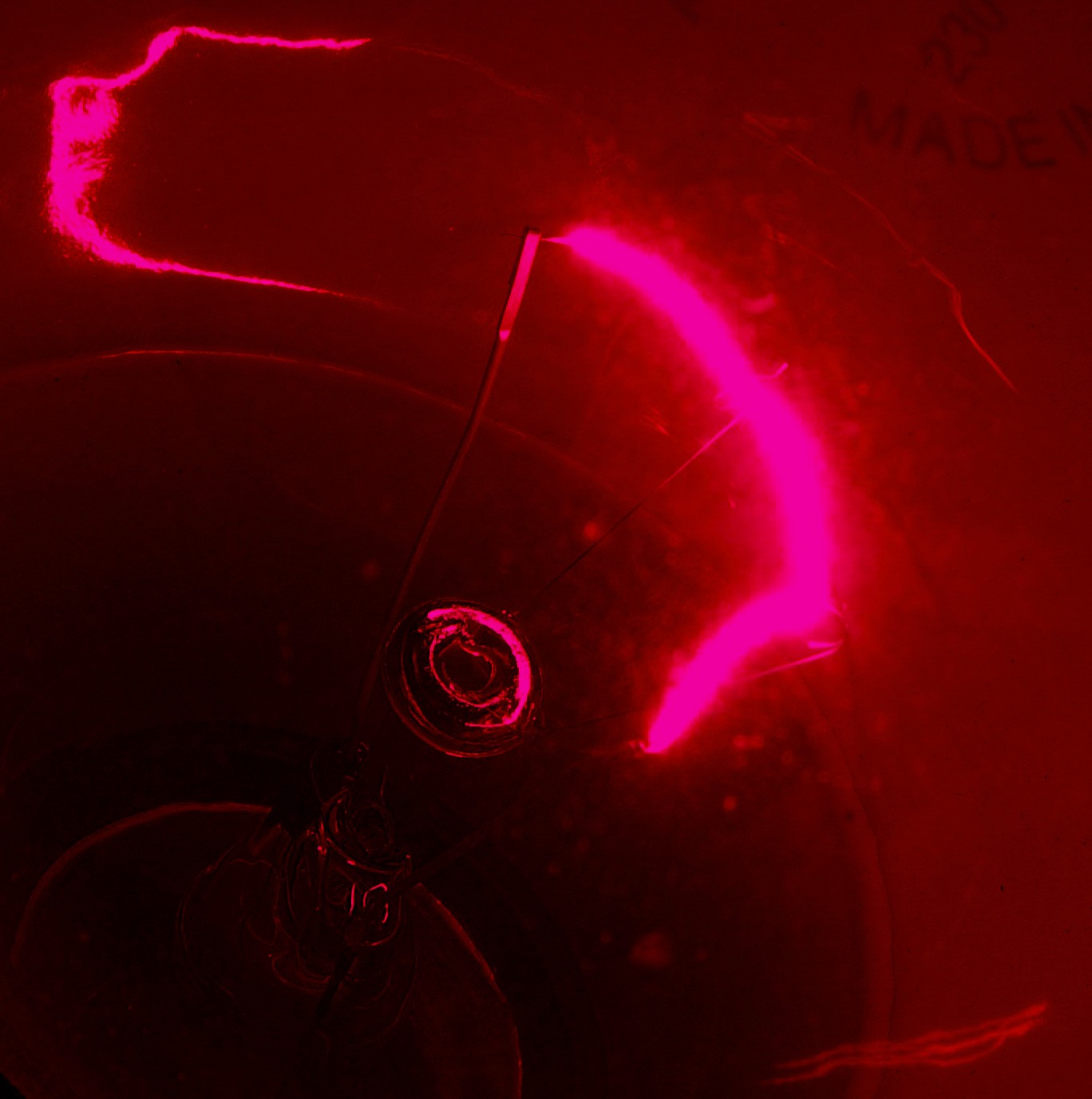 Photography by xfreetwo for DesignCrowd (Community Contests) | Design #9106863