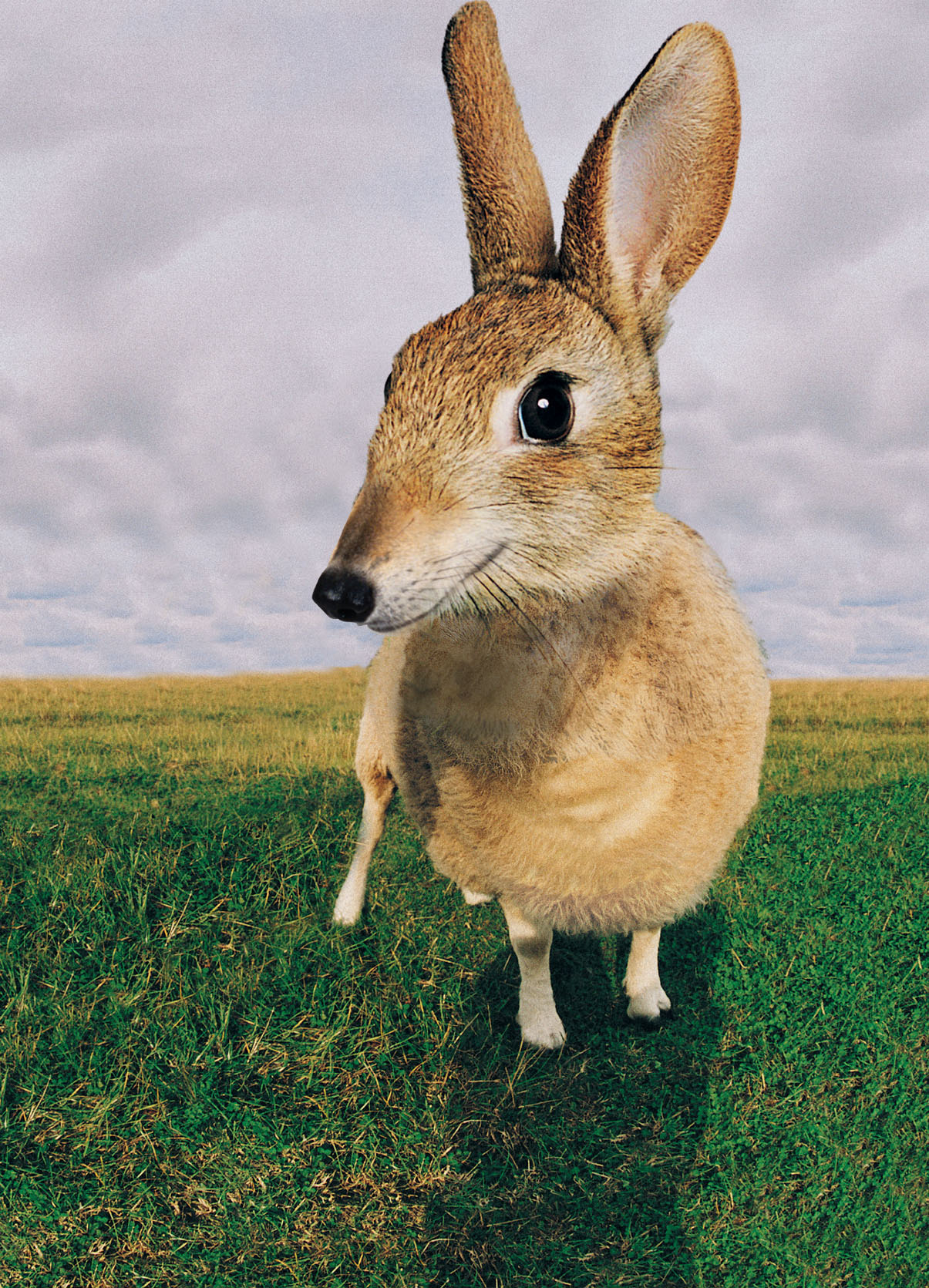 Design Photoshop par breimer pour DesignCrowd (Community Contests) | Design #9105742