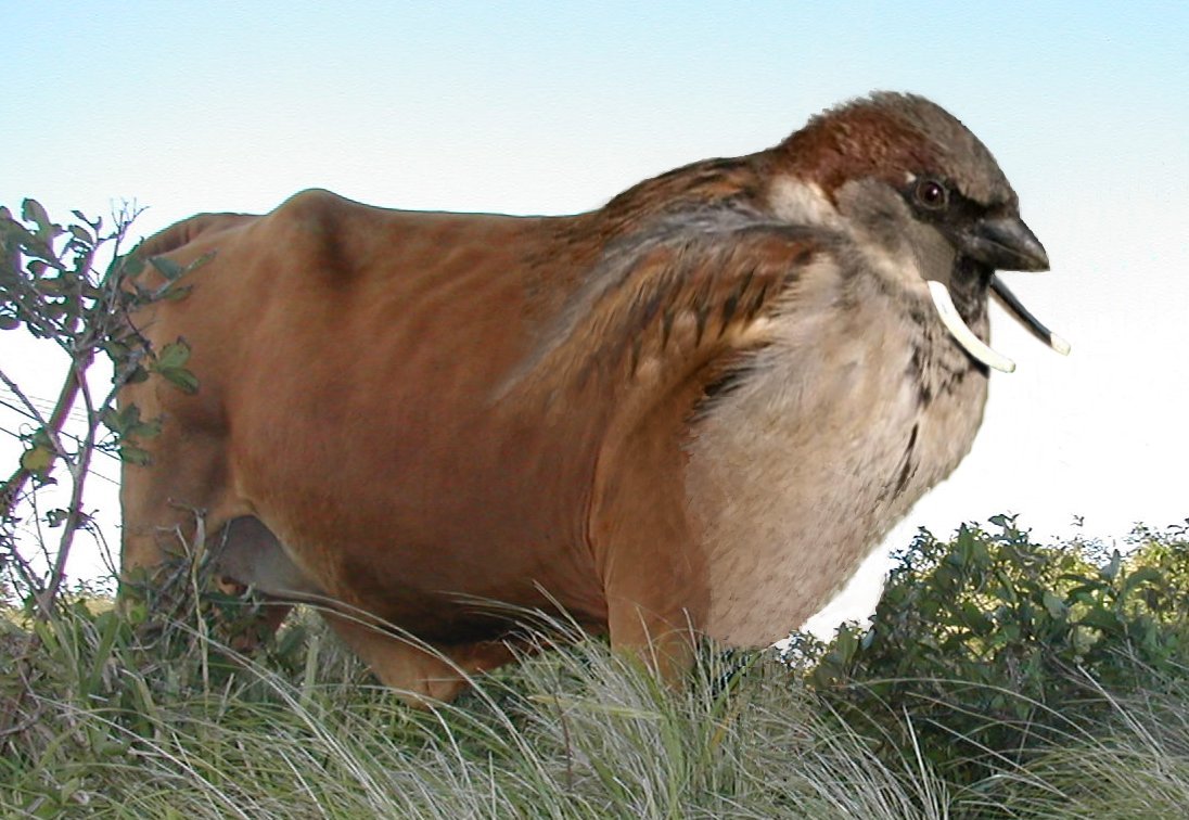 Design Photoshop par Iceman78 pour DesignCrowd (Community Contests) | Design #9105790