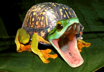 Diseño de Photoshop por Huggkruka para DesignCrowd (Community Contests) | Diseño #9105792