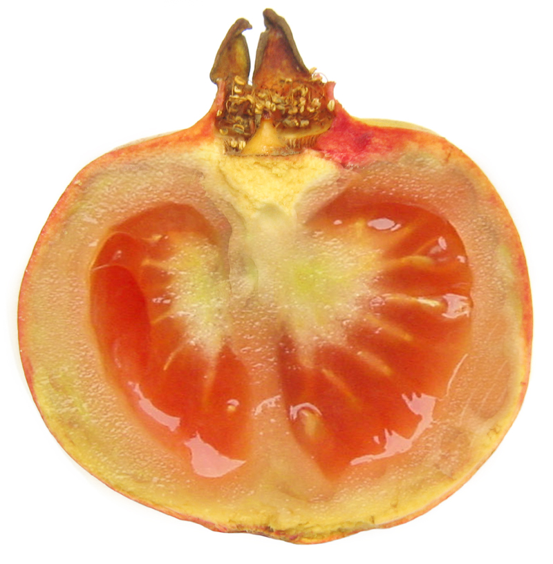 Photoshop Design by srinoo for DesignCrowd (Community Contests) | Design #9105244