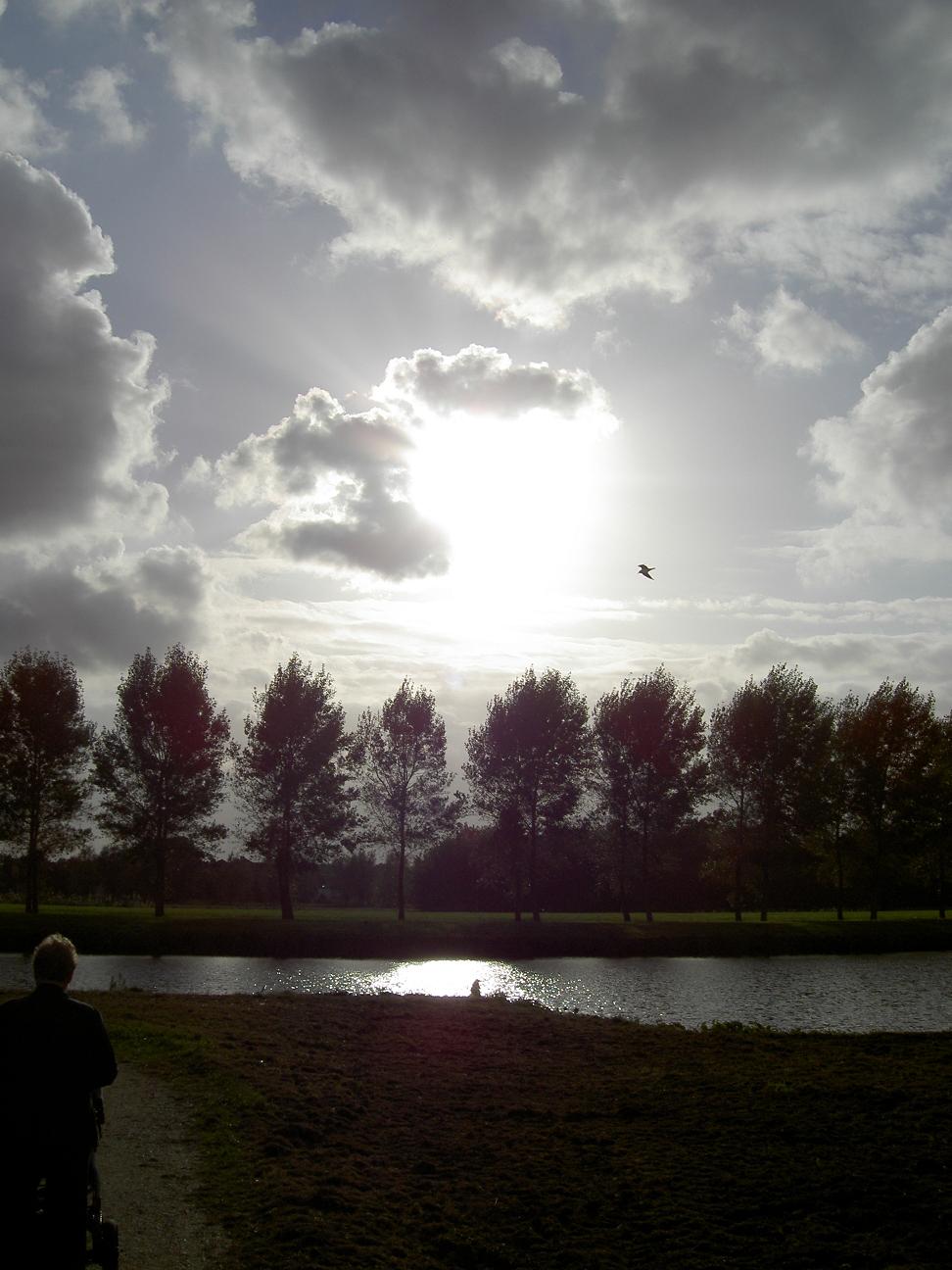 Photography by Schapie for DesignCrowd (Community Contests) | Design #9104361