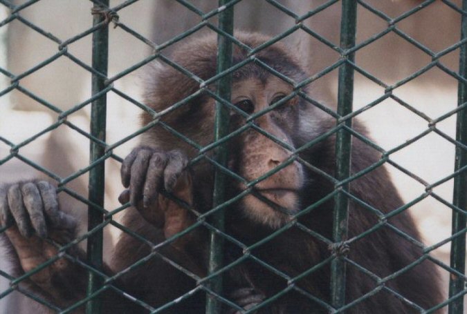 Photography by Endgame for DesignCrowd (Community Contests) | Design #9104358