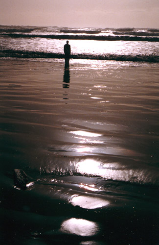 Fotografía por ennoia para DesignCrowd (Community Contests) | Diseño #9104350