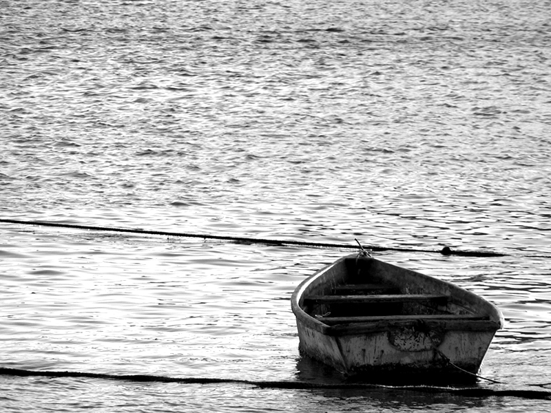 Photography by jasoned for DesignCrowd (Community Contests) | Design #9104379