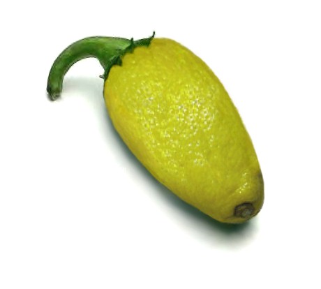 Design Photoshop par TerryLea pour DesignCrowd (Community Contests) | Design #9105523