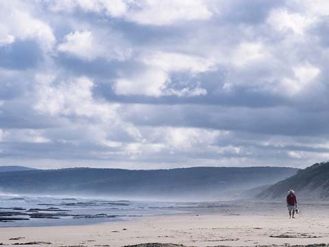 Photography by cassarilda for DesignCrowd (Community Contests) | Design #9104385