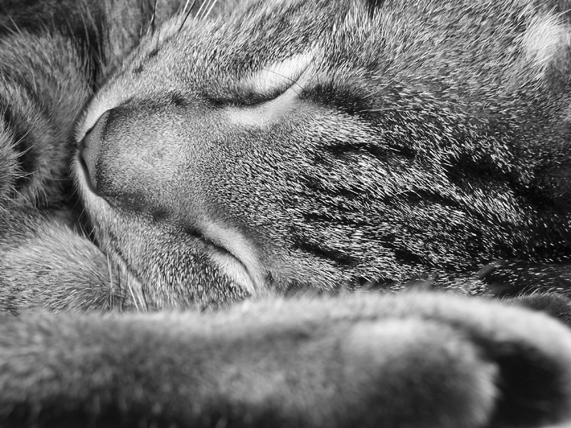 Photography by hephzibah for DesignCrowd (Community Contests) | Design #9080771