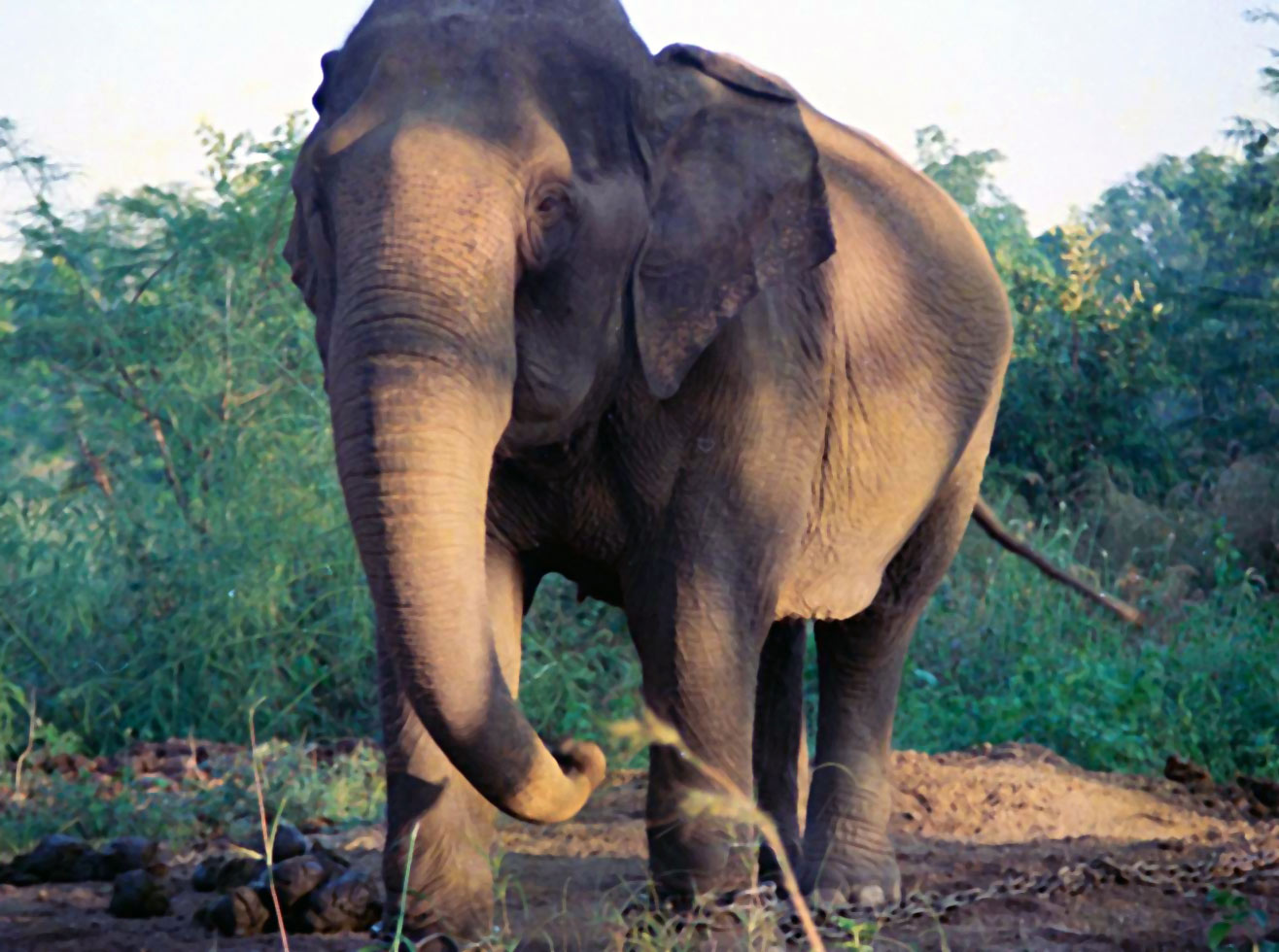 Fotografie von eye2eye für DesignCrowd (Community Contests) | Design #9104457