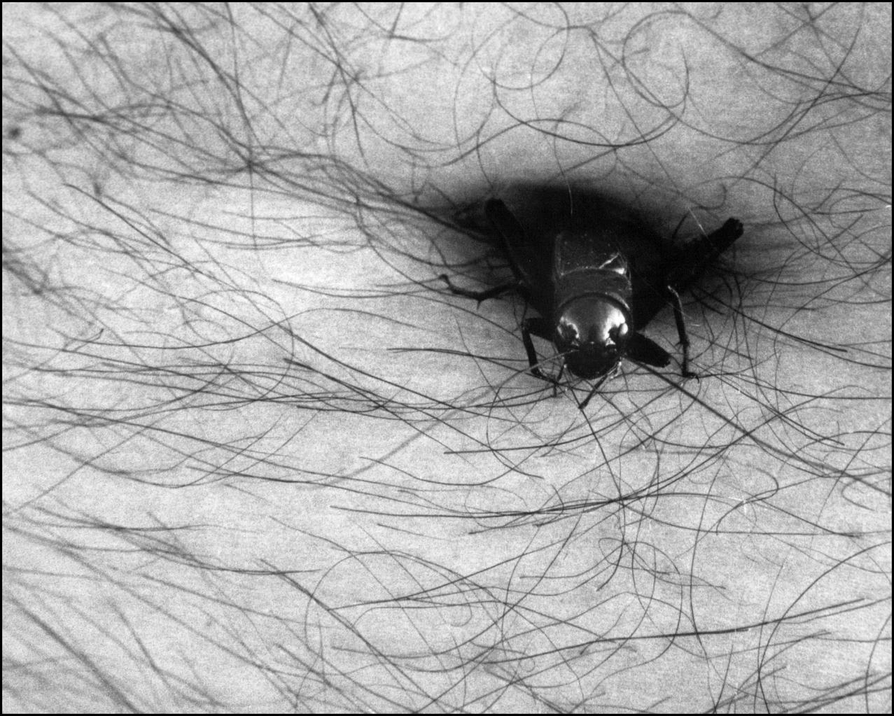 Photography by Tommy1de for DesignCrowd (Community Contests) | Design #9080748